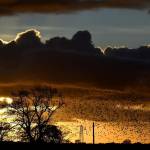Stormi di migliaia di uccelli "invadono" il tramonto scozzese06