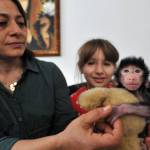 Turchia, famiglia adotta babbuino neonato FOTO01