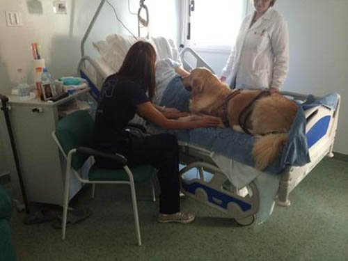 Cani in ospedale: Pet Therapy al San Marco di Mestre