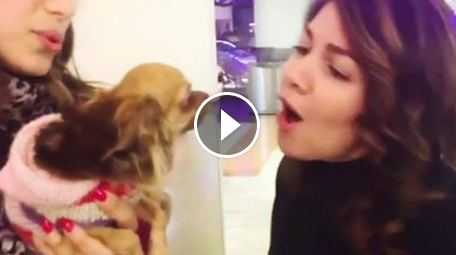Cristina D'Avena canta "Occhi di gatto" con un cane VIDEO