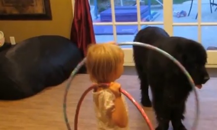 Sierra, la bimba mostra al cane come usare l'hula hoop: 3 mln di clic su YouTube
