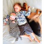 Theo, Beau e Evvie: i due bimbi e il cane dormono insieme 03