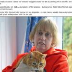 "I gatti hanno annusato il mio tumore": il racconto di una donna inglese