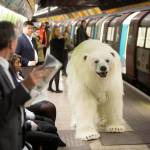 Orso polare a spasso per Londra per il lancio di "Fortitude04