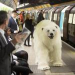 Orso polare a spasso per Londra per il lancio di "Fortitude02
