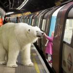 Orso polare a spasso per Londra per il lancio di "Fortitude
