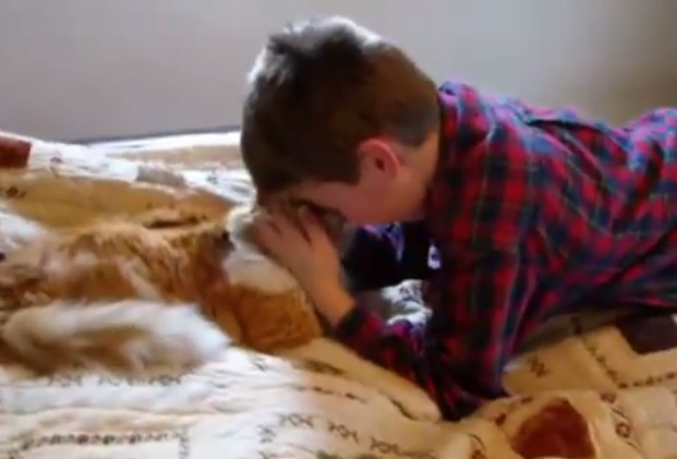 VIDEO YouTube: bimbo autistico ritrova gatto smarrito e si commuove