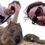 In posa con il quokka per un selfie: la nuova moda che viene dall'Australia14