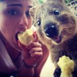 In posa con il quokka per un selfie: la nuova moda che viene dall'Australia10