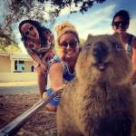 In posa con il quokka per un selfie: la nuova moda che viene dall'Australia09