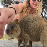 In posa con il quokka per un selfie: la nuova moda che viene dall'Australia07