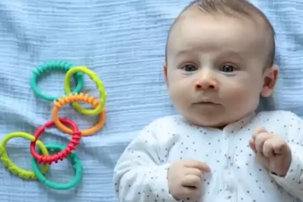 il primo anno di vita di Teddy nel time lapse da 2 minuti