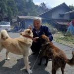 Naoto Matsumura vive nella città radioattiva con i suoi animali02
