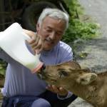 Naoto Matsumura vive nella città radioattiva con i suoi animali