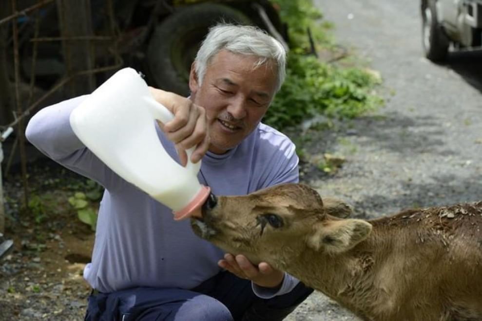 Naoto Matsumura vive nella città radioattiva con i suoi animali