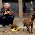 Naoto Matsumura vive nella città radioattiva con i suoi animali4