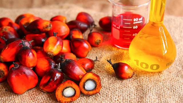 Olio di palma e salute – L’olio è palma è cancerogeno?