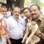 India, crolla palazzo: uomo salva la gatta di casa e muore