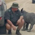Sudafrica, cucciolo orfano di rinoceronte scambia auto per la mamma3