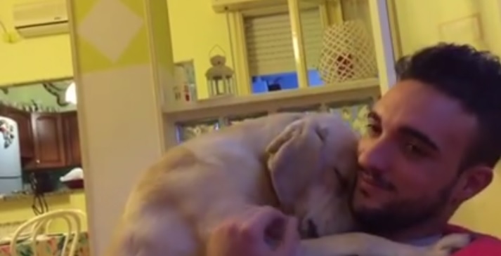 Chi è Ettore, il cane che ha commosso il web VIDEO