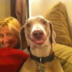 I cani ridono eccome FOTO5