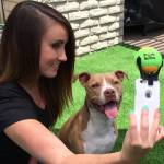 Pooch Selfie, pallina su smartphone e il cane si mette in posa