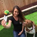 Pooch Selfie, pallina su smartphone e il cane si mette in posa5