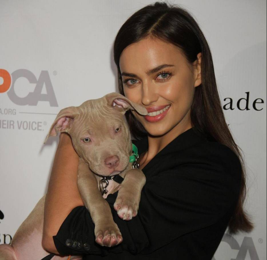 Irina Shayk versione animalista: posa con il cane FOTO 9