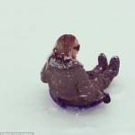 Mariah Carey gioca a palle di neve con i gemelli13