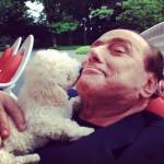 Berlusconi e Francesca Pascale felicissimi: i cuccioli di Dudù2