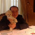 Berlusconi e Francesca Pascale felicissimi: i cuccioli di Dudù