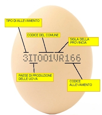 Come capire se un uovo è fresco e tante altre cose da sapere