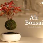Air bonsai che levita grazie ai magneti6