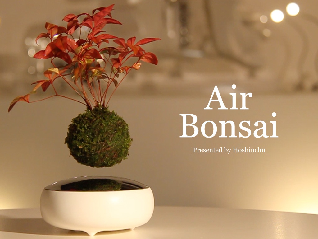 Air bonsai che levita grazie ai magneti6