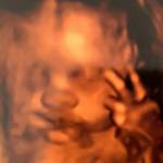 Il feto che saluta la mamma con due dita2