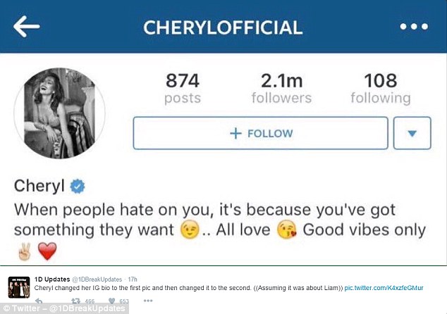 Liam Payne, sfogo di Cheryl Fernandez: "Quando ti odiano..."