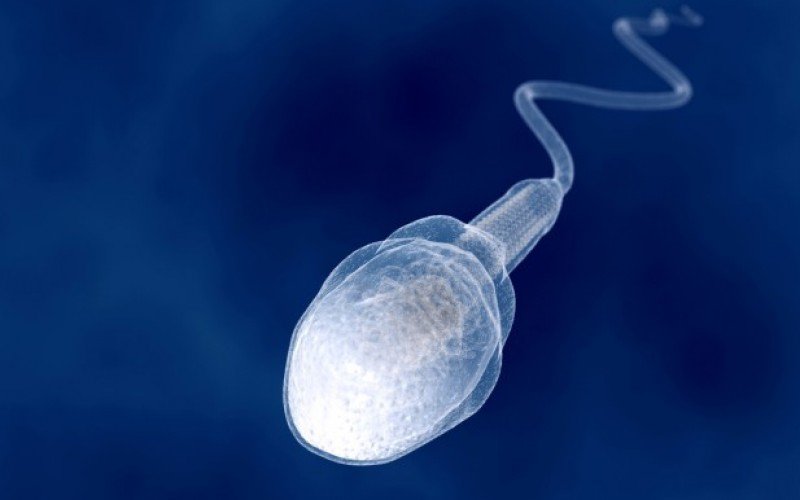 Infertilità maschile, scoperto cosa fa scattare gli spermatozoi