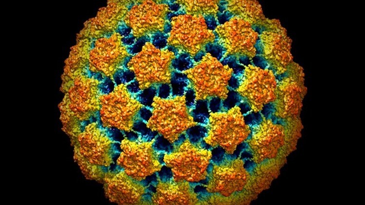 Papillomavirus, vaccinare gli uomini per proteggere le donne