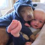 Cucciolo di bulldog col pigiama si dondola col neonato2