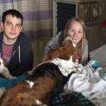 Nora, neonata colpita da ictus muore con suoi cani ai piedi 4