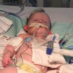 Nora, neonata colpita da ictus muore con suoi cani ai piedi 2