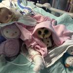 Nora, neonata colpita da ictus muore con suoi cani ai piedi 7