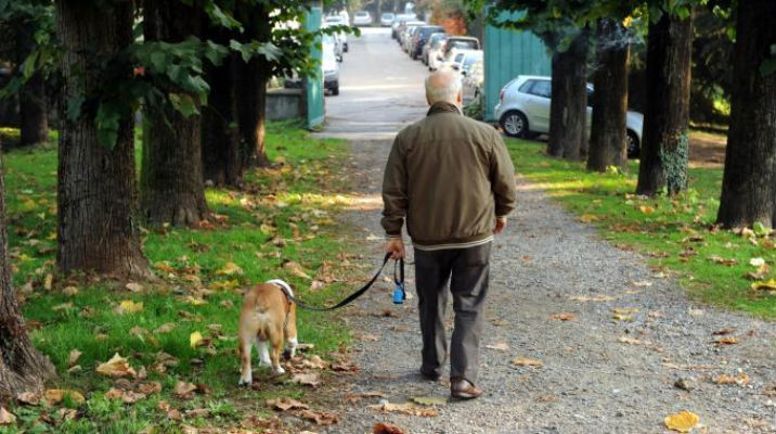 Un cane allunga la vita: camminare con lui fa bene anche a noi