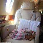 Rich Dogs of Instagram: cani su yacht e jet privati5