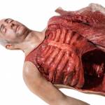Corpo umano stampato in 3D: respira e sanguina FOTO 3