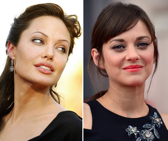 Angelina Jolie e Brad Pitt, parla Marion Cotillard: "Sono..."