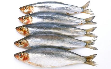 Pesce con omega 3: sano sì, ma troppo può causare diabete
