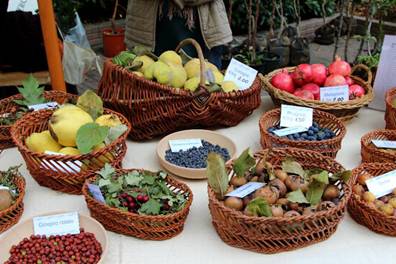 Festa dei Frutti Dimenticati e del Marrone di Casola | VIDEO