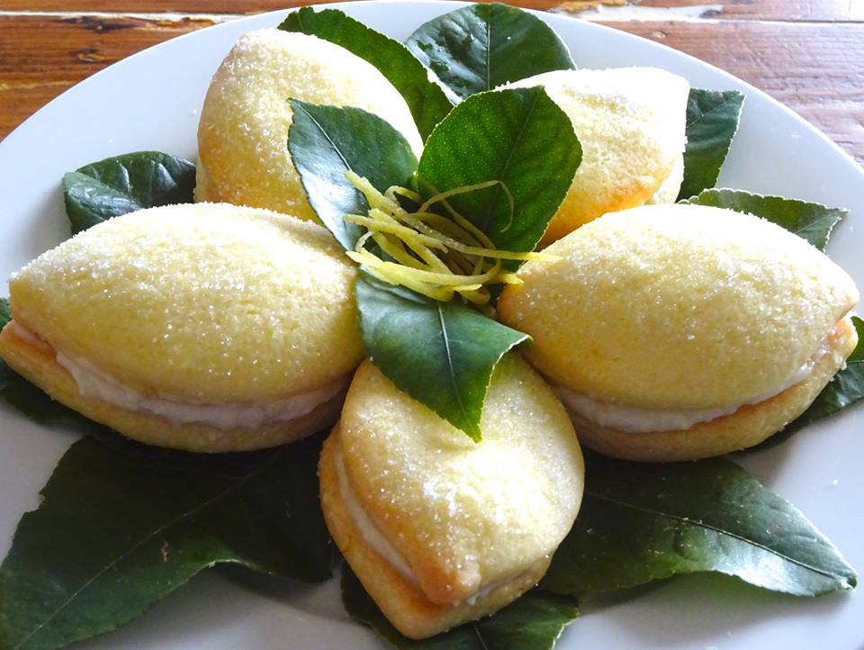 Dolci Limoni... Una vera tentazione per il palato...