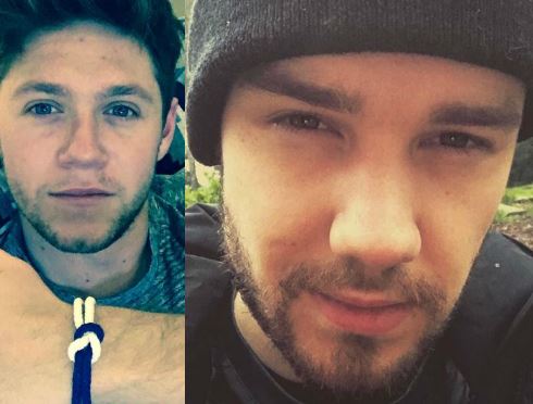 One Direction, Niall Horan emozionato per Liam Payne! NEWS